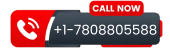 Palm reading astrology in Edmonton